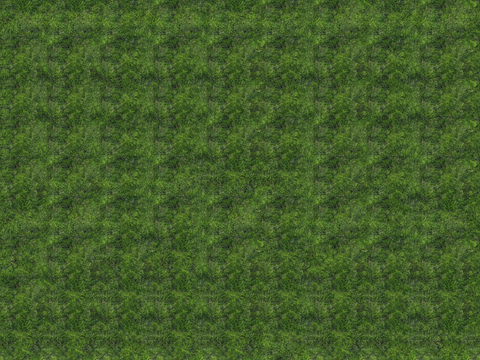 真实质感草地草坡绿地肌理纹理10