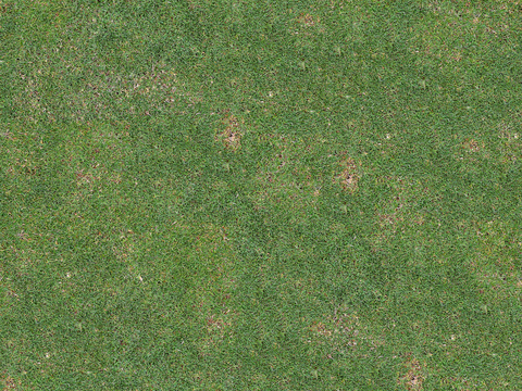  真实质感草地草坡绿地肌理纹理182 