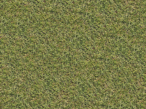 真实质感草地草坡绿地肌理纹理113