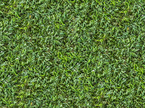  真实质感草地草坡绿地肌理纹理179 