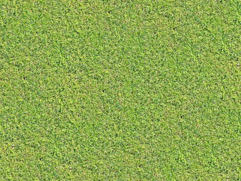 真实质感草地草坡绿地肌理纹理59