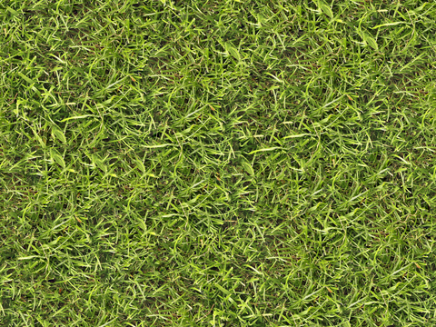 真实质感草地草坡绿地肌理纹理89