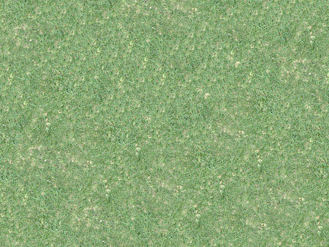  真实质感草地草坡绿地肌理纹理157 