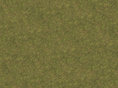 真实质感草地草坡绿地肌理纹理73