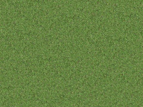 真实质感草地草坡绿地肌理纹理6