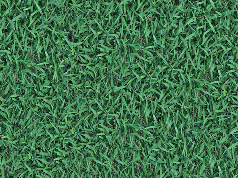  真实质感草地草坡绿地肌理纹理135 