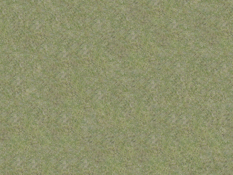 真实质感草地草坡绿地肌理纹理77