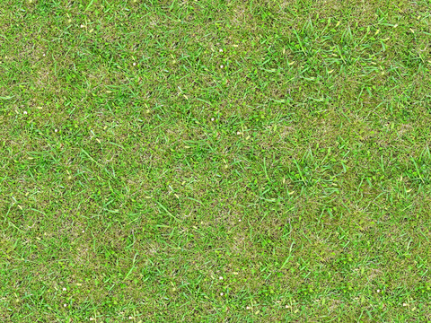 真实质感草地草坡绿地肌理纹理174