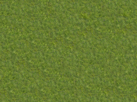 真实质感草地草坡绿地肌理纹理138
