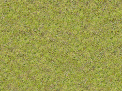  真实质感草地草坡绿地肌理纹理146 