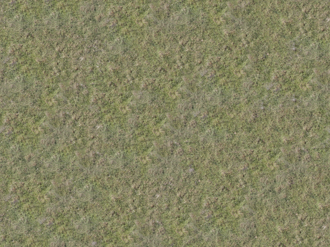 真实质感草地草坡绿地肌理纹理147