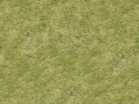  真实质感草地草坡绿地肌理纹理3 