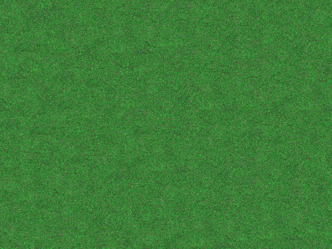 真实质感草地草坡绿地肌理纹理162