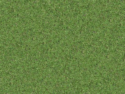 真实质感草地草坡绿地肌理纹理5