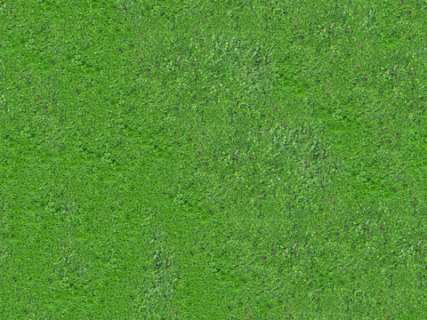 真实质感草地草坡绿地肌理纹理107