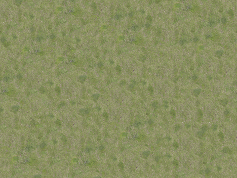  真实质感草地草坡绿地肌理纹理149 