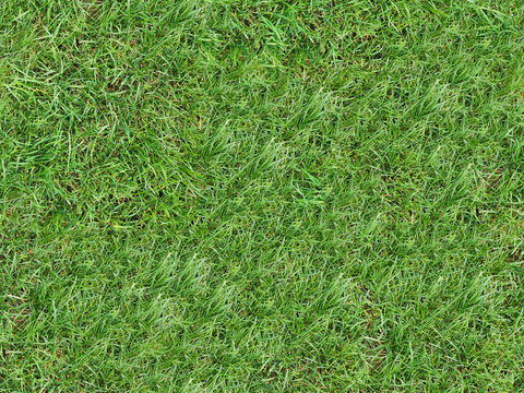 真实质感草地草坡绿地肌理纹理16