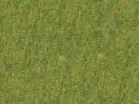  真实质感草地草坡绿地肌理纹理190 