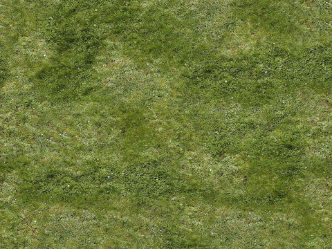 真实质感草地草坡绿地肌理纹理11