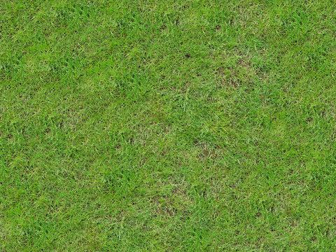 真实质感草地草坡绿地肌理纹理37