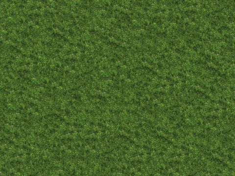 真实质感草地草坡绿地肌理纹理65