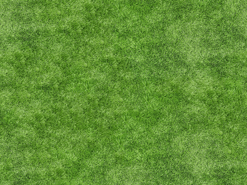 真实质感草地草坡绿地肌理纹理195