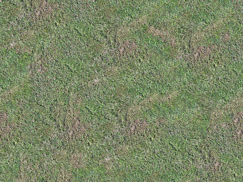 真实质感草地草坡绿地肌理纹理171