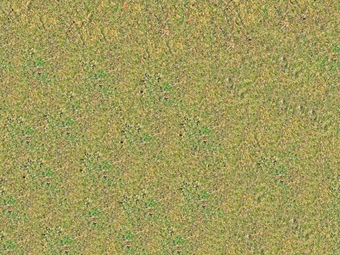 真实质感草地草坡绿地肌理纹理78