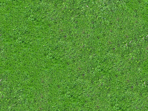  真实质感草地草坡绿地肌理纹理172 