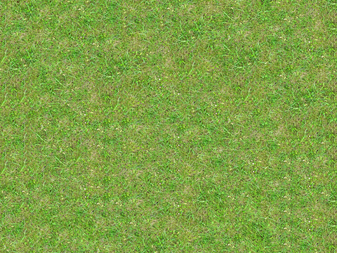 真实质感草地草坡绿地肌理纹理109