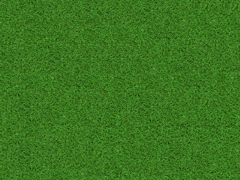  真实质感草地草坡绿地肌理纹理169 