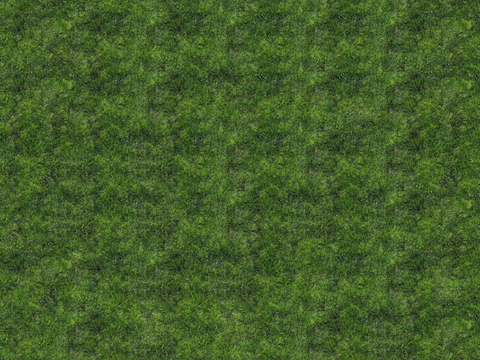 真实质感草地草坡绿地肌理纹理9