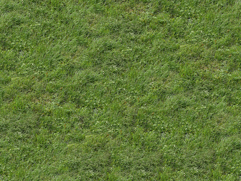 真实质感草地草坡绿地肌理纹理53