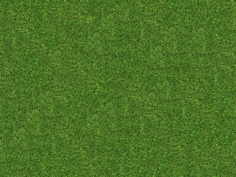 真实质感草地草坡绿地肌理纹理108