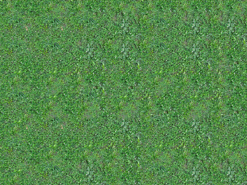 真实质感草地草坡绿地肌理纹理111