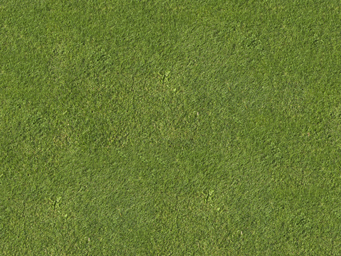 真实质感草地草坡绿地肌理纹理83