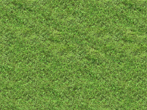  真实质感草地草坡绿地肌理纹理96 