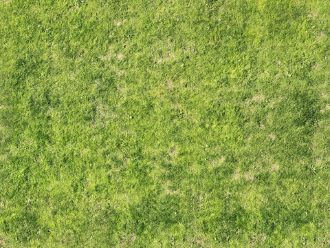 真实质感草地草坡绿地肌理纹理19