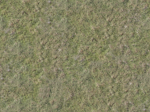 真实质感草地草坡绿地肌理纹理192