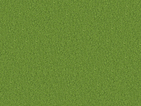 真实质感草地草坡绿地肌理纹理91