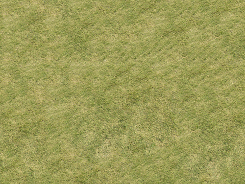真实质感草地草坡绿地肌理纹理4