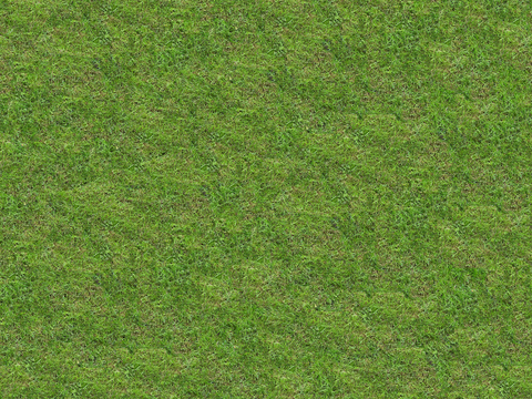  真实质感草地草坡绿地肌理纹理130 