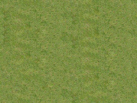  真实质感草地草坡绿地肌理纹理155 