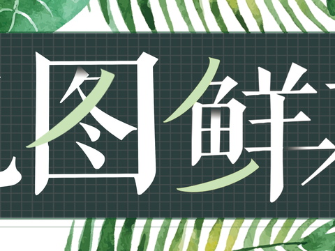  花店招牌店铺牌匾门面门头店标店招招牌8 