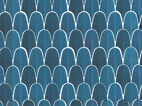 羽毛纹理瓷砖13