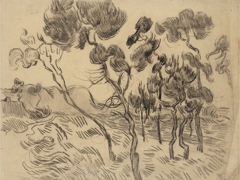  梵高后印象派素描绘画作品，现代世界经典名画546 梵高 La 