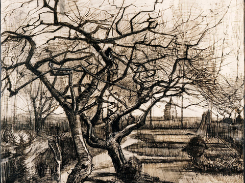 梵高后印象派素描绘画作品，现代世界经典名画589 梵高 Th