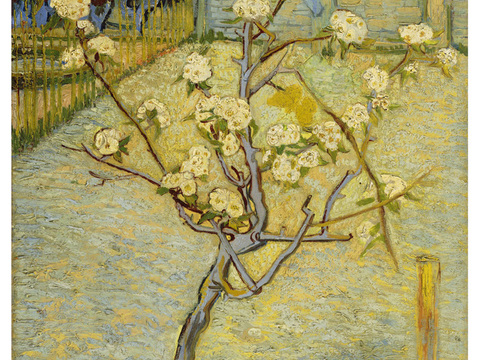 梵高后印象派风景绘画作品，现代世界经典名画160 梵高 Sm