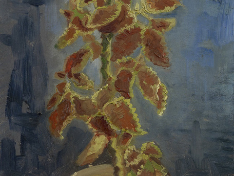 梵高后印象派静物绘画作品，现代世界经典名画283 梵高 Co