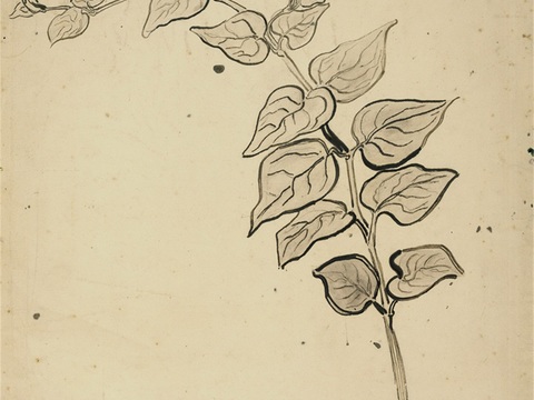 梵高后印象派素描绘画作品，现代世界经典名画564 梵高 Pe